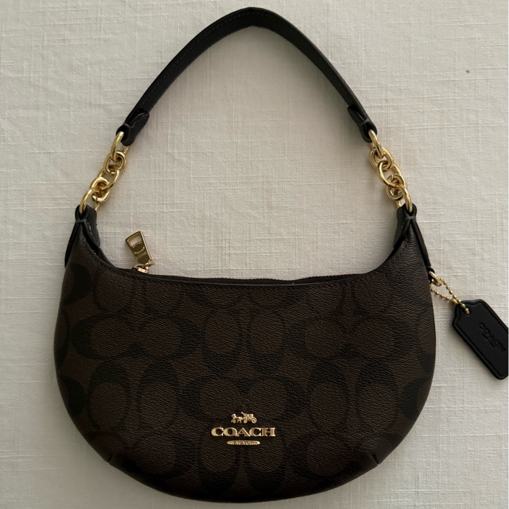 Coach Black and Brown Hobo Bag with Gold Accents